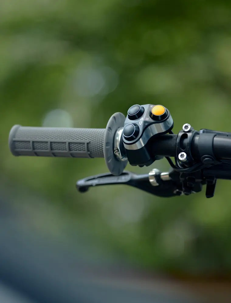 Pulse Control System